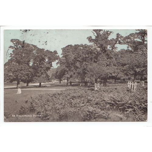 In Richmond Park London 1905 Dainty Series Postcard