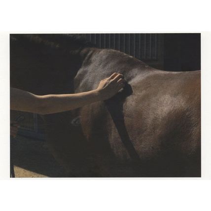 Shane Lavalette Award Light & Dark Effects Photo Postcard
