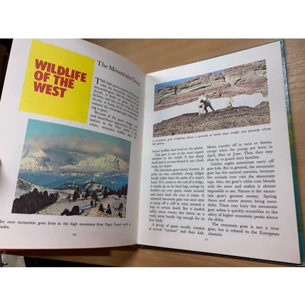 1973 WALT DISNEY "SUNNY DAYS STORY BOOK" LARGE UK ANNUAL HARDBACK BOOK (P3)