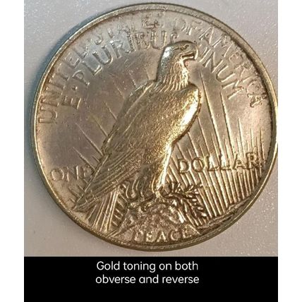 USA: 1935 Silver Peace Dollar