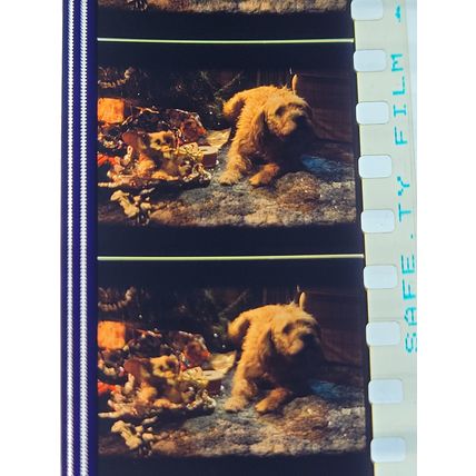 Gremlins. pk DJQ - b 034h. 1 strip of 5 film cells - 35mm