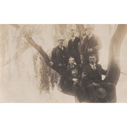 Tree Climbing Trip Party Branch Balancing Amazing Old Postcard