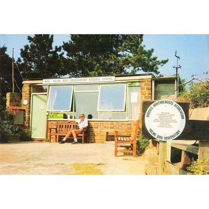 Holme Bird Observatory Norfolk Vintage Postcard