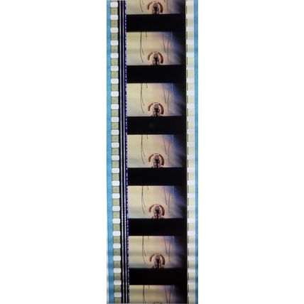 Pokemon . Pk FBP - b032F . 1 STRIP OF 5 - 35MM FILM CELLS