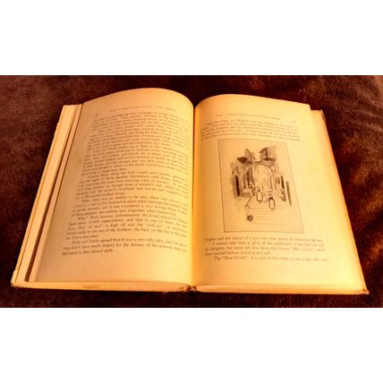 How A Dear Little Couple Went Aboard By Mary D. Brine 1903 Great Condition