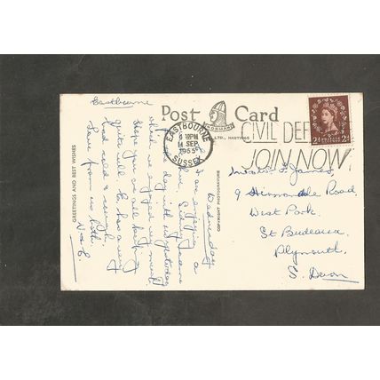 Postcard Sussex Eastbourne Carpet Gardens 1955