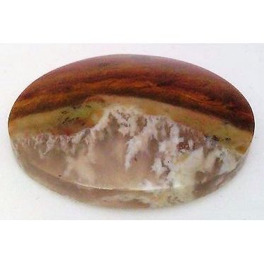Petrified Wood Freeform Gemstone Cabochon 40