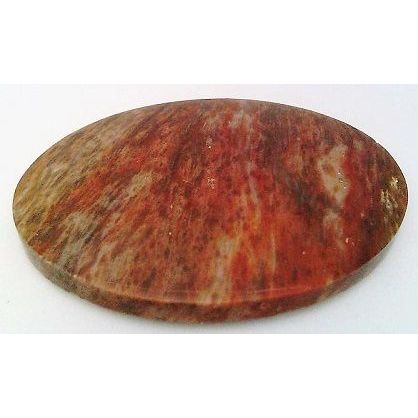Petrified Wood Freeform Gemstone Cabochon 12