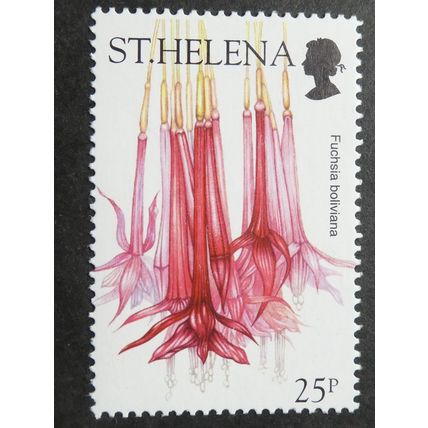 ST HELENA 2003 Wild Flowers 25p SG896 Unmounted Mint