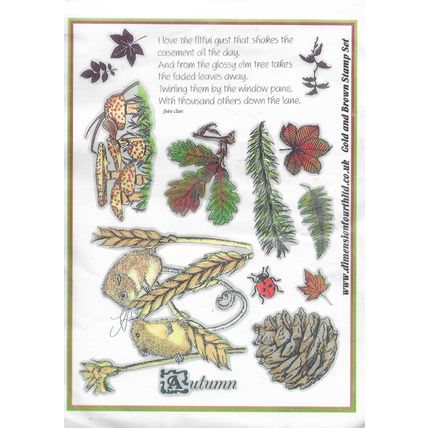 Dimension Fourth. A5 Gold & Brown Stamp Set. Stamping Cardmaking Scrapbooking