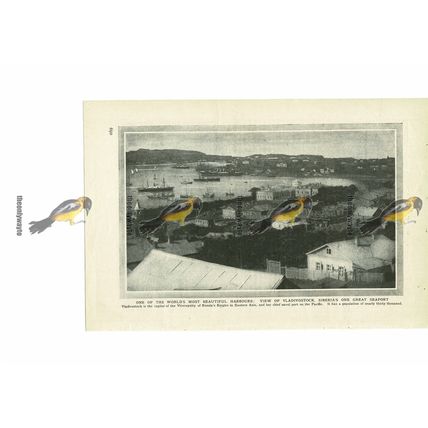 Vladivostock Harbour, Siberia, Russia, Book Illustration (Print), c1907