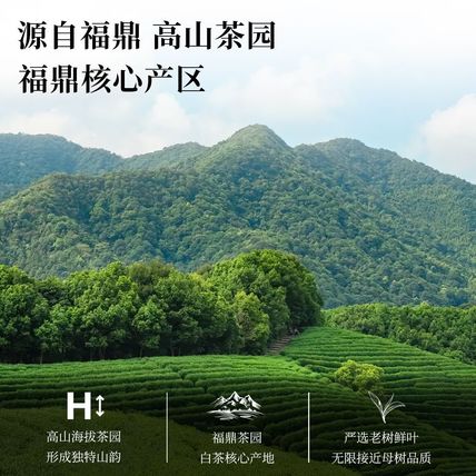 150g/Box Chen pi white tea for China Royal Family China tea TongRenTang