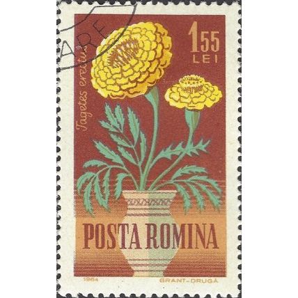 ROMANIA, FLOWER, French Marigold, Tagetes erectus, reddish brown 1964, 1.55L, #2