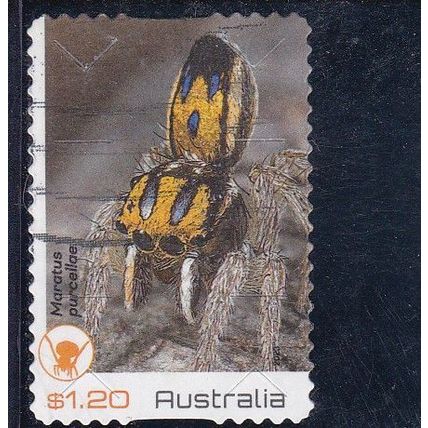 Australia 2023 - Peacock Spiders, Maratus purcellae -$1.20 s/a used