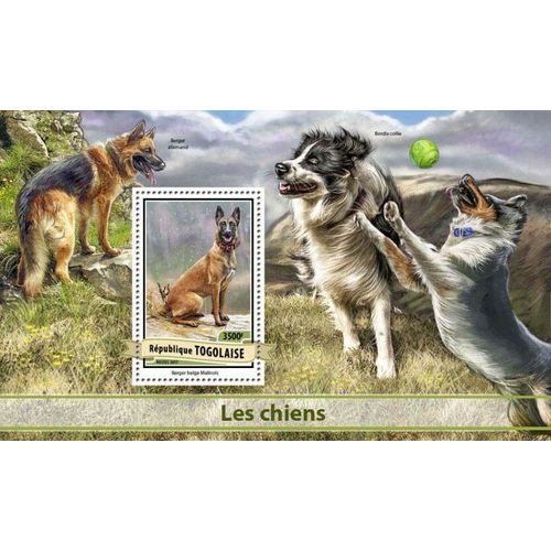 TOGO 2017 SHEET MNH DOGS PERROS CHIENS CANI CAES HUNDEN 1A