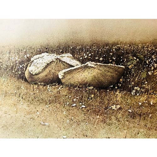 Vintage SHUPTRINE King Cotton print Litho Original 70s Large Americana Art Decor