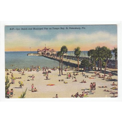 Spa Beach & Municipal Pier on Tampa Bay St Petersburg Florida Postcard