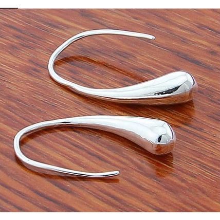 925 Sterling Water Drop Charm Earrings