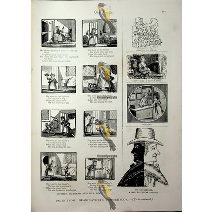 Queen Victoria, Princess Of Wales, Duchess Of Kent, Book Illustration, 1893