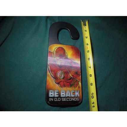 THE FLASH LENTICULAR HOLOGRAM DOOR HANG!! DC Comics! Wicked Cool! $22.00 Shipped