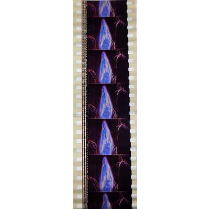 Pk DAU - B - MIX - e 0128X . - 1 STRIP OF 5 - 35MM FILM CELLS. ( )