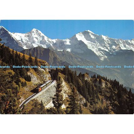 D026358 Switzerland. Schynige Platte. Bahn mit Eiger. Monch. Jungfrau. Globertro
