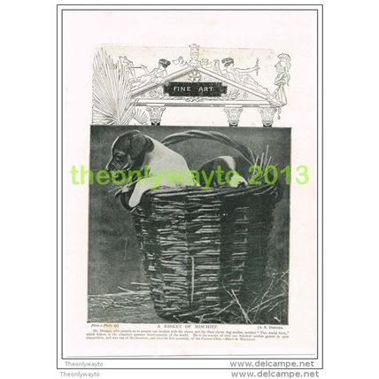 BASKET OF MISCHIEF (PUPPIES) BY A R DRESSER, Book Illustration c1895