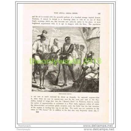 SENEGAMBIAN NATIVES, SIERRA LEONE, Book Illustration c1890
