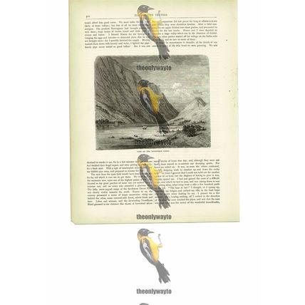 Trondhjem (Trondheim) Fiord, Norway, Book Illustration (Print), c1880