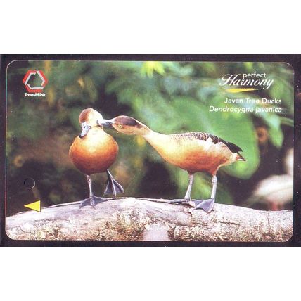 Perfect Harmony Birds S'pore TransitLink Train/Bus Card
