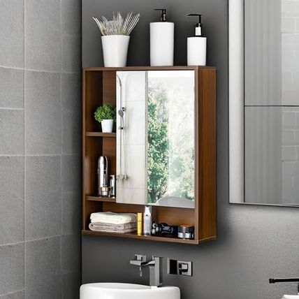 Choochoo Bathroom Wall Mirror Cabinet, Medicine Cabinet with Single Door and Adj