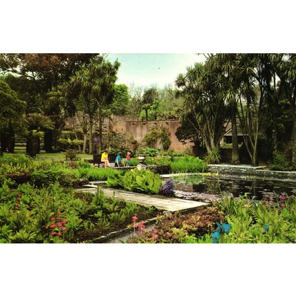 Postcard Logan Gardens, Wigtown, Dumfries and Galloway, Scotland. Unposted