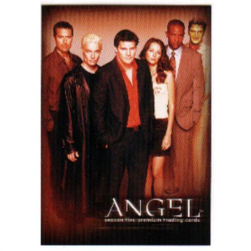 Angel Season 5 Promo Trading Card A5-SD2004 from Inkworks