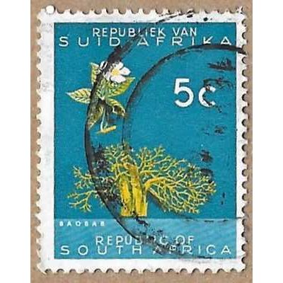 Baobab 10468