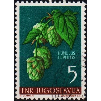 Yugoslavia 1955 5d S.G.792 Used