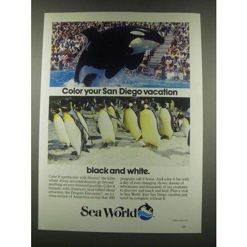 1985 Sea World Ad - Color Your San Diego Vacation