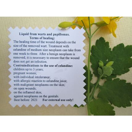 Flüssigkeit FÜR Warzen und Papillome/Wild Schöllkraut Saft/Hand Made + Geschenk!