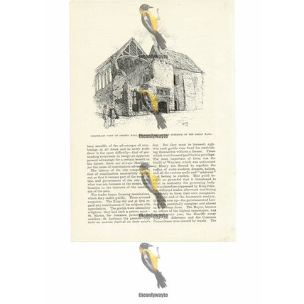 Crosby Hall, NE View, London, Book Illustration (Print), 1891