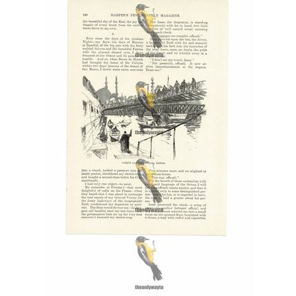Caique Landing, Galatia Bridge, Turkey, Book Illustration (Print), 1891