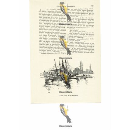 Lighter Boats In The Bosphorus, Turkey, Book Illustration (Print), 1891