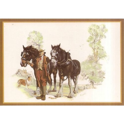 HOMEWARD BOUND' Shire Horses unused postcard Farm, Farming Country Crafts =
