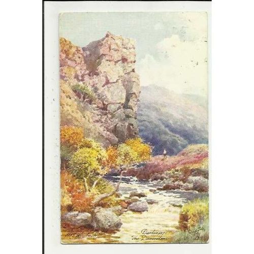 7074 Devon DARTMOOR Dewerstone Tuck Oilette Postcard (Artist - Wimbush)
