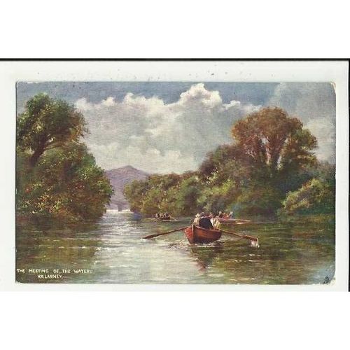 7137 Ireland KILLARNEY Meeting Of The Waters Tuck Oilette Postcard