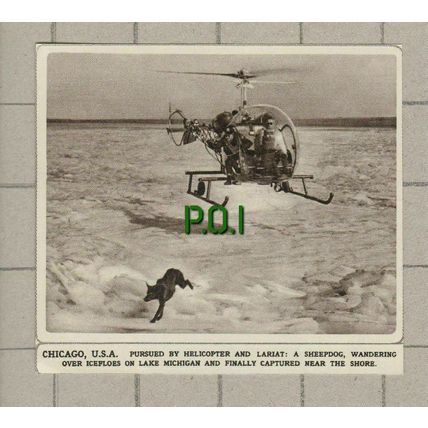 (4682) Sheep Dog Rescue Helicopter Lake Michigan Chicago USA - 1961 Clip