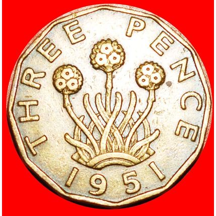 THRIFT (1949-1952): UNITED KINGDOM ★ 3 PENCE 1951 GEORGE VI★LOW START★NO RESERVE