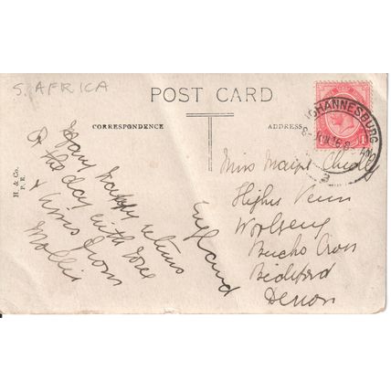 Antique South Africa PC 1916 - Boating on the Umsindusi at Pietermaritzburg