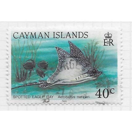CAYMAN ISLANDS 1993 QE2 SAWFISH SEA EAGLE MARINE LIFE FISH RAY 40c USED