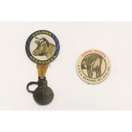 Dairy Dakota Antique Farming Guernsey Cows Button Badge Postcard
