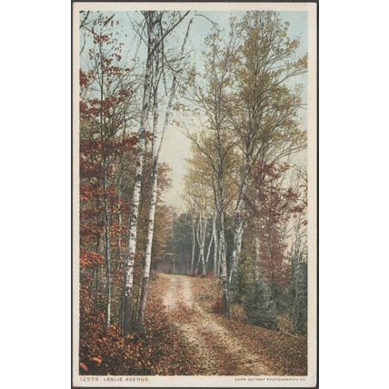 Leslie Avenue, Mackinac Island, Michigan, c1910 - Detroit Publishing Co Postcard