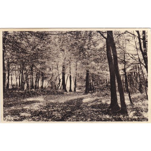 Rectory Wood Amersham Buckingham Postcard (BU75815)